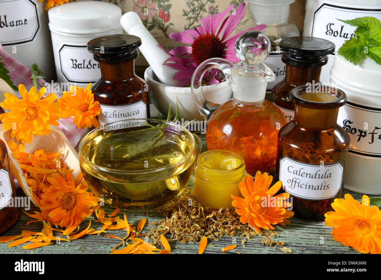 Giardino Marigold Foto Stock