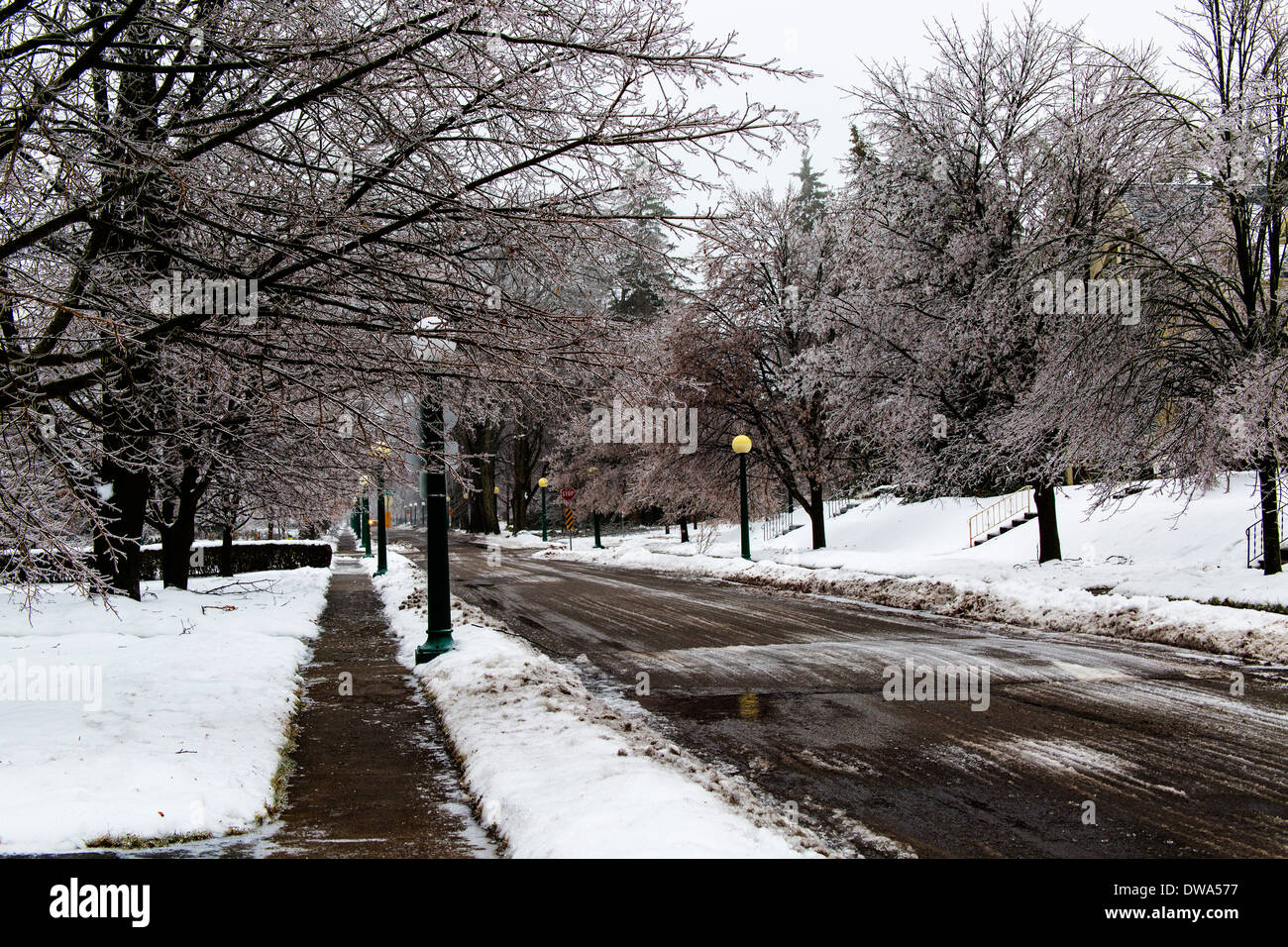 Strada residenziale durante l'inverno tempesta di ghiaccio Foto Stock