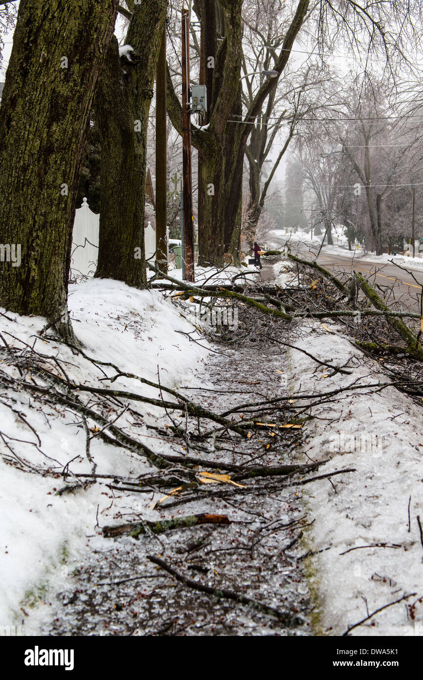 Danni provocati dalla tempesta sulla strada residenziale durante l'inverno tempesta di ghiaccio Foto Stock