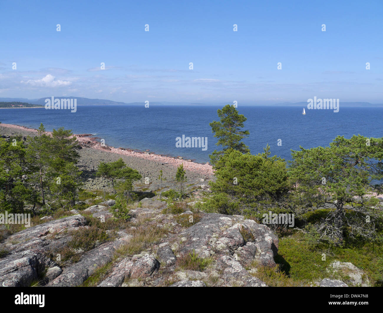 Norrfällsviken hägget, Höga Kusten (costa alta), västernorrlands län, Golfo di Botnia, Svezia Foto Stock