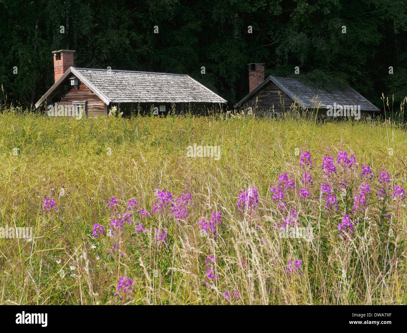 Fjärdbotten, Höga Kusten (costa alta), västernorrlands län, Golfo di Botnia, Svezia Foto Stock
