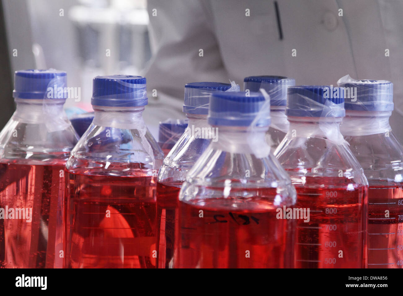 Bottiglie in un laboratorio con mezzo sterile per coltura cellulare a una persona con il camice in background Foto Stock