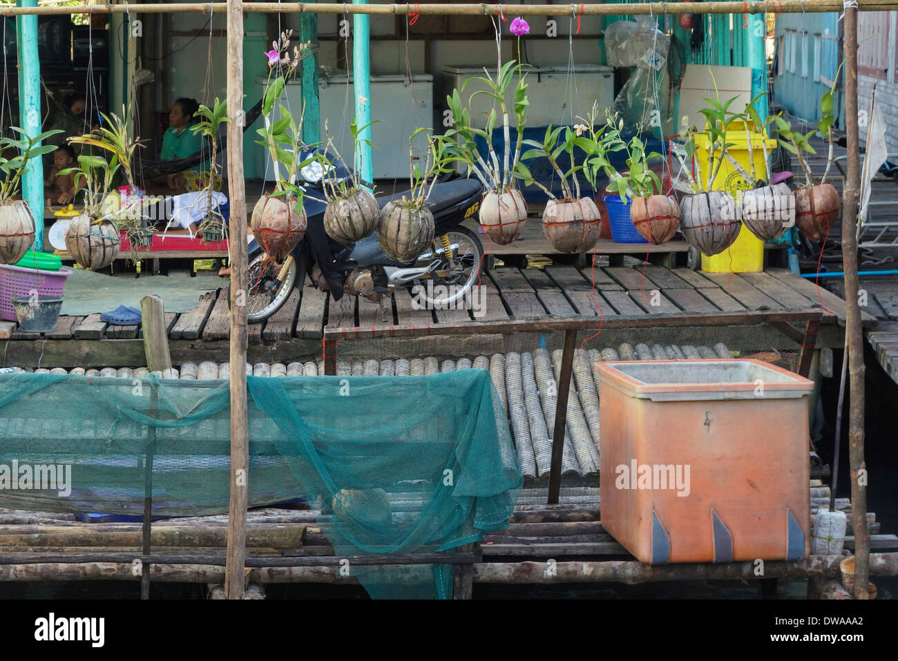 Orchidee crescere nel guscio di noce di cocco fioriere sul molo del villaggio di pescatori di Ban Ao Yai, Thailandia. Foto Stock