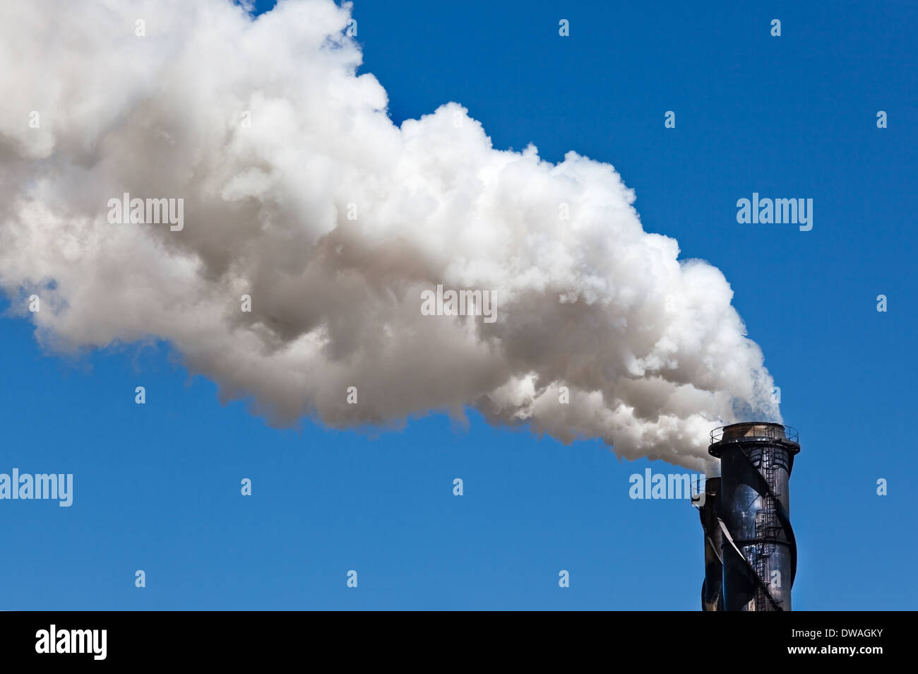 Sugar Mill stack di fumo Tully Foto Stock