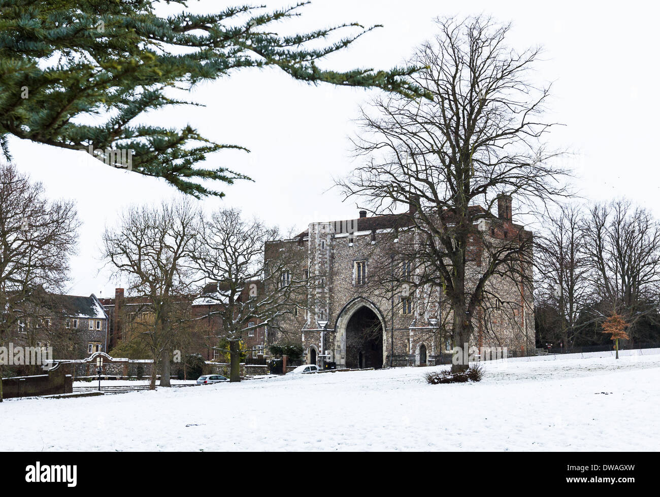 Porte della Cattedrale e Chiesa Abbaziale in St.Albans, Regno Unito Foto Stock