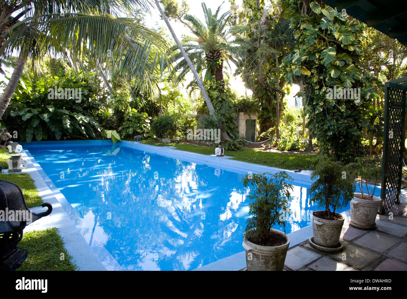 Piscina a Ernest Hemingway Home & Museum, Key West, Florida, Stati Uniti d'America Foto Stock