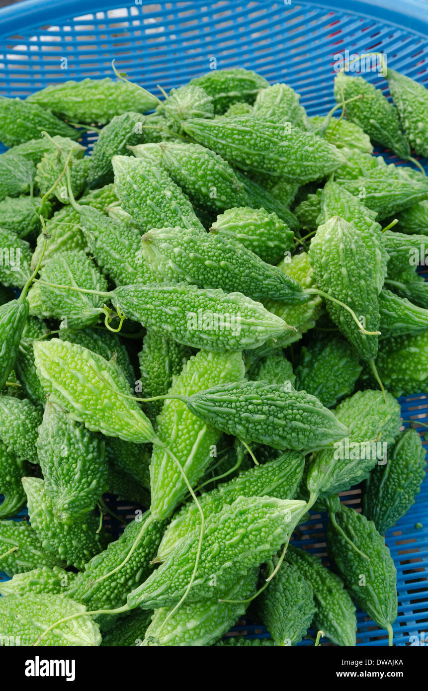 Verde gourd Amaro vendere al mercato dei prodotti freschi in Thailandia Foto Stock