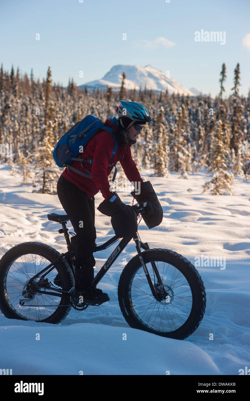 Foto della persona che guida fat tire snow bike sul speedway trail, Campbell sentieri, Anchorage, vista laterale rivolto verso destra Foto Stock