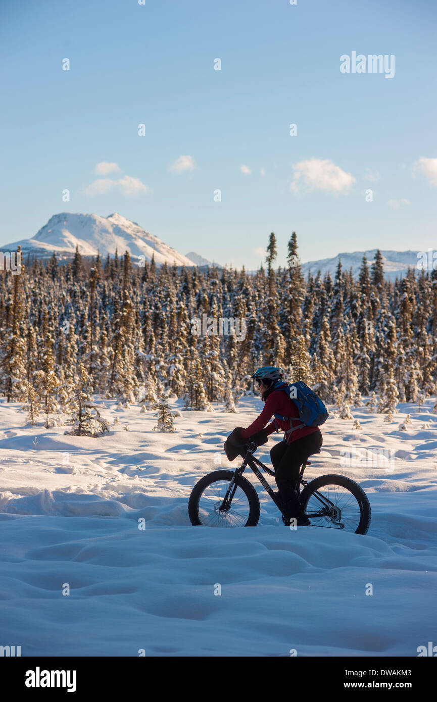 Foto della persona che guida fat tire snow bike sul speedway trail, Campbell sentieri, Anchorage, girato dal lato Foto Stock