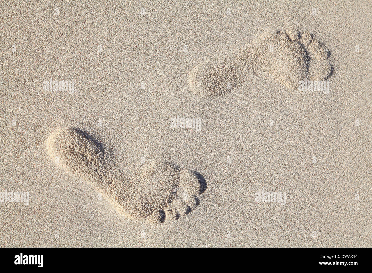 Tropical spiaggia di sabbia bianca, impronte, Punta Cana Repubblica Dominicana Foto Stock