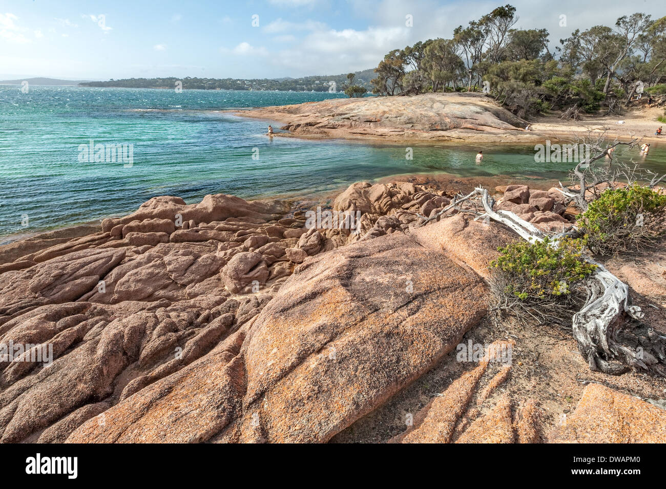 Luna di Miele Bay, Parco Nazionale di Freycinet, Tasmania, Australia Foto Stock