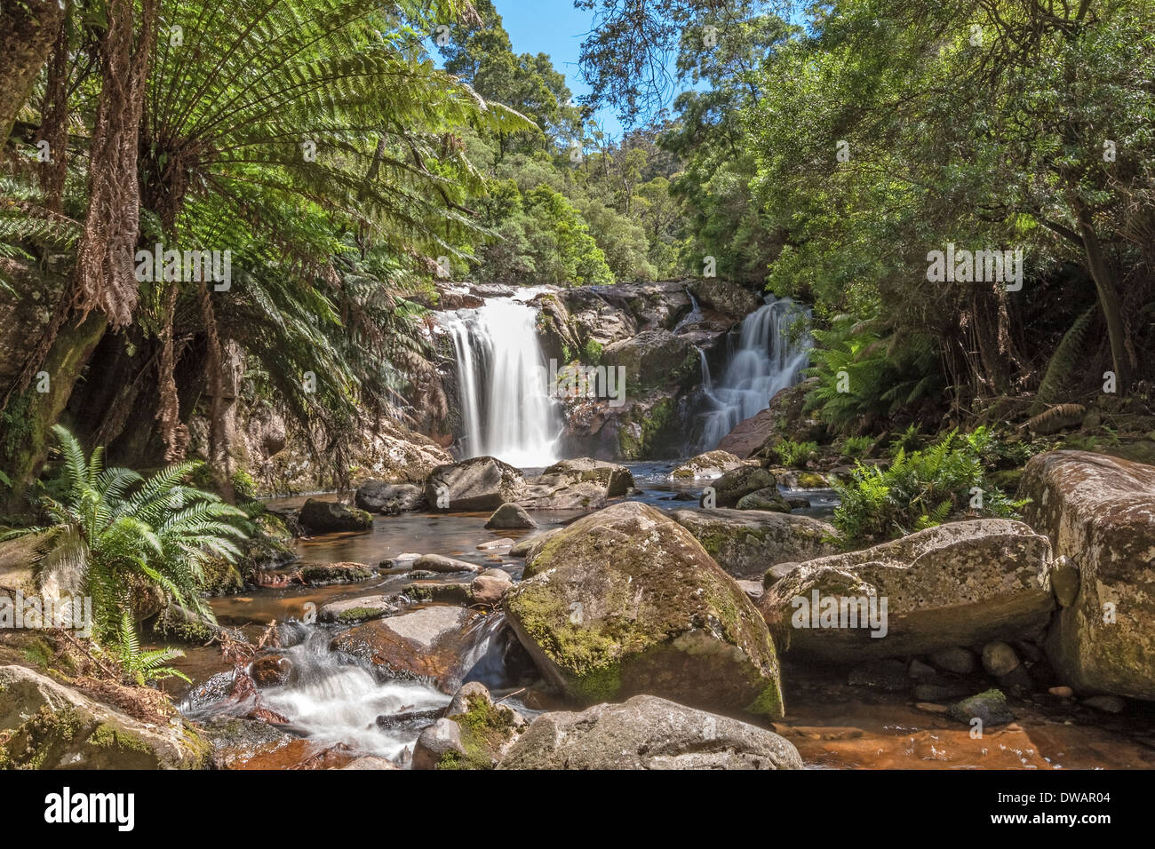 Sale diminuisce il livello Blu Riserva di foresta, vicino a St Helen's, Tasmania, Australia Foto Stock