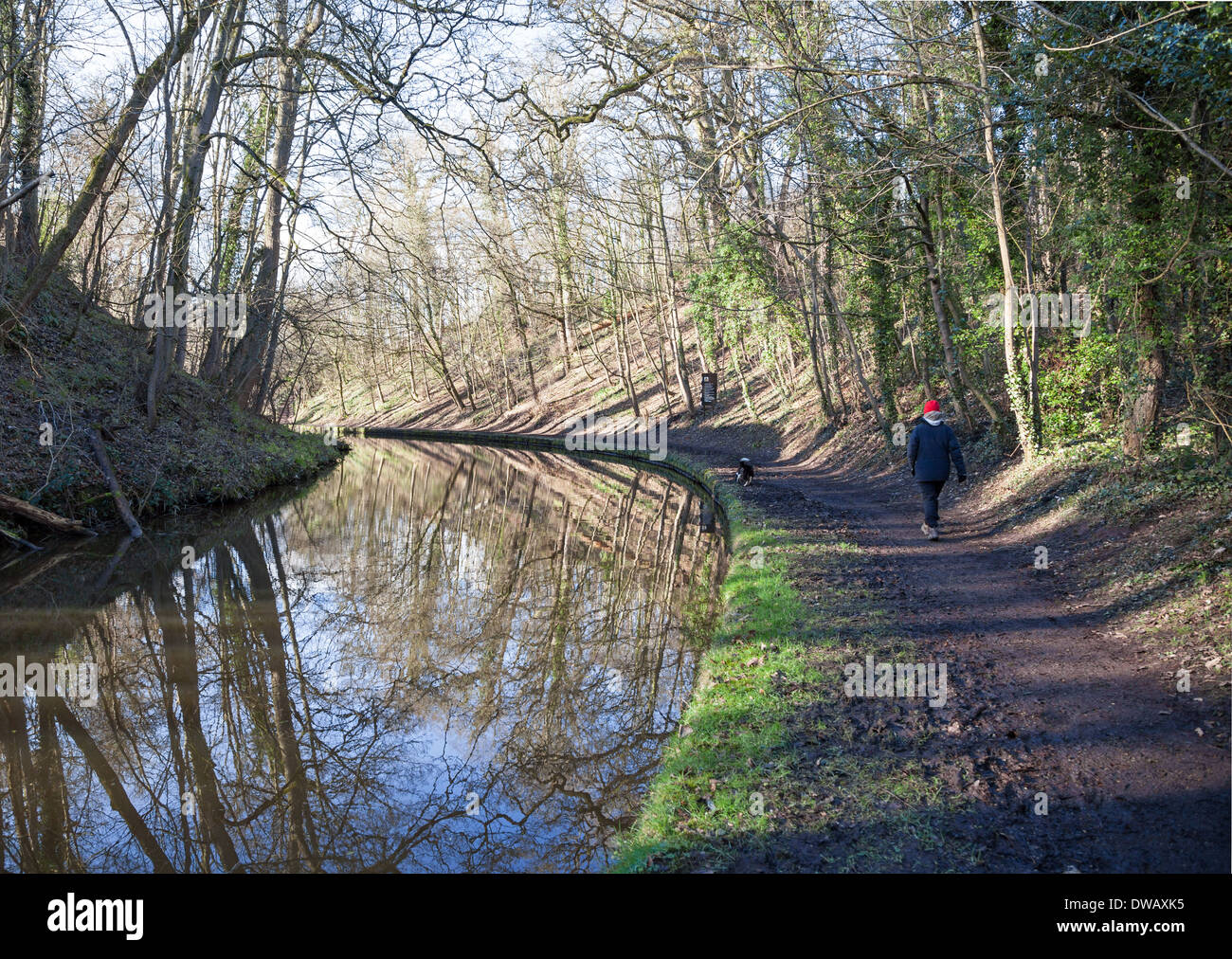 Una donna che cammina lungo la strada alzaia Shropshire Union Canal Llangollen ramo tra Colemere e Ellesmere Shropshire England Regno Unito Foto Stock
