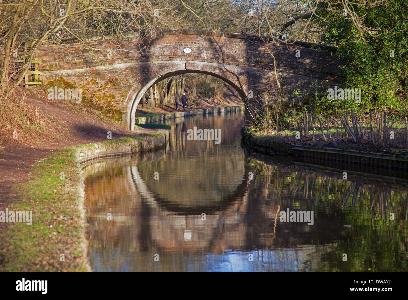 Ponte 55 oltre il Shropshire Union Canal Llangollen ramo tra Colemere e Ellesmere Shropshire England Regno Unito Foto Stock