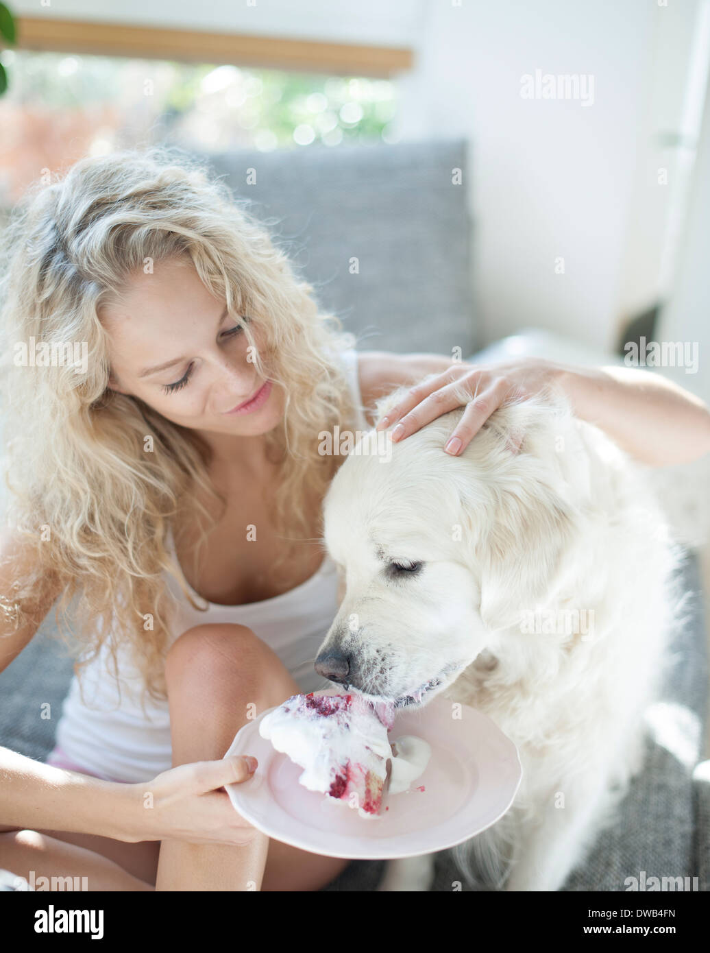 Donna Bella torta di alimentazione per un cane in casa Foto Stock