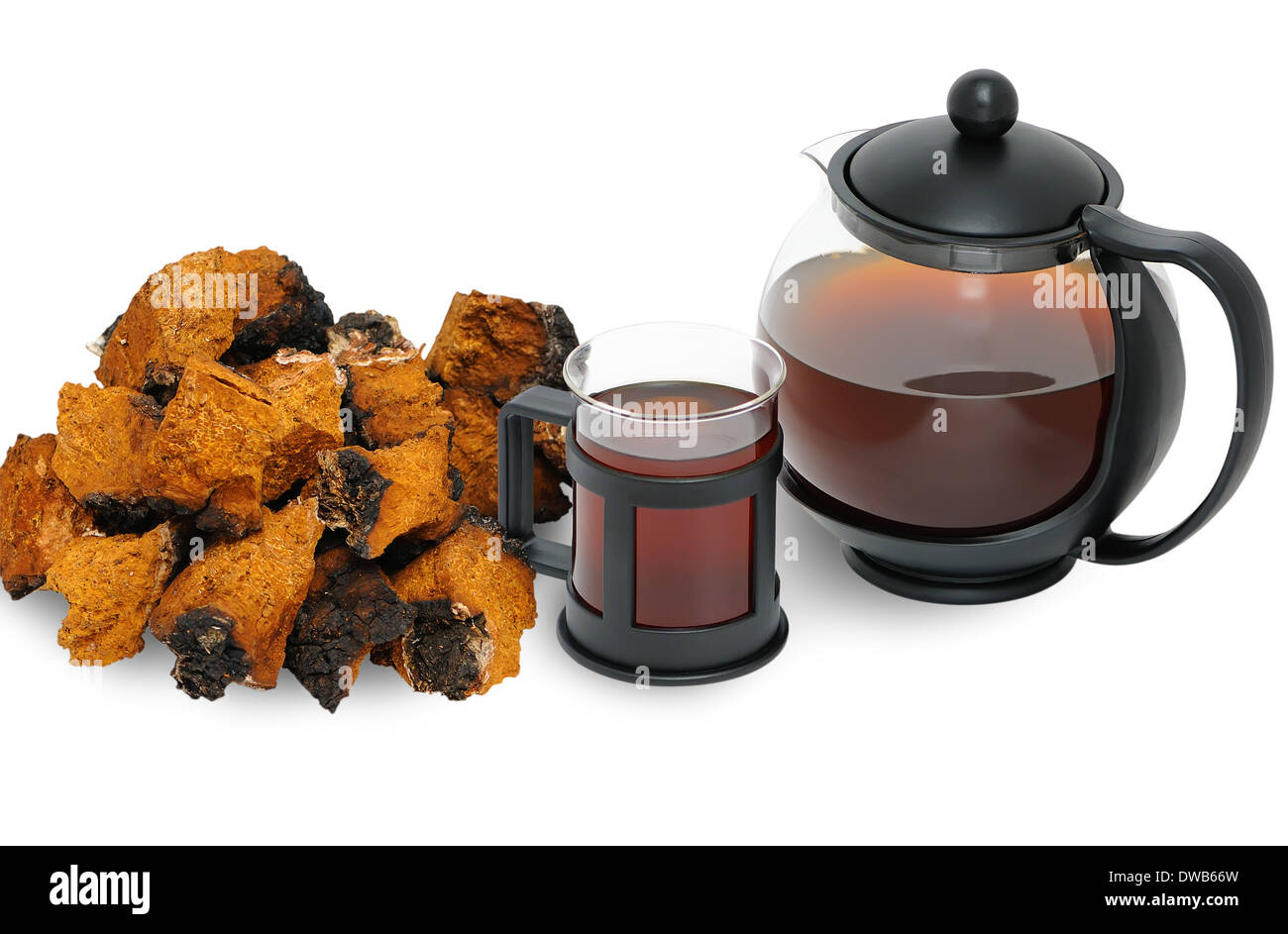 Chaga fungo. Una bevanda medicinale e tagliati in pezzi Chaga Foto Stock
