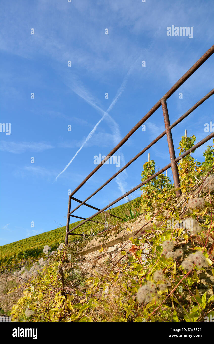 Vigneti della Mosella con cielo blu Germania Weinberg blauer Himmel Mosel mit Weinbergsmauer Geländer Kondensstreifen sonniger Tag Foto Stock