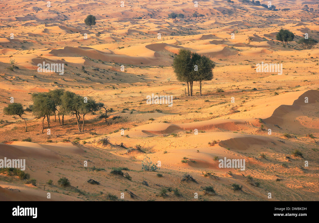 Wüste Rub al Khali - Ras al Khaima Foto Stock