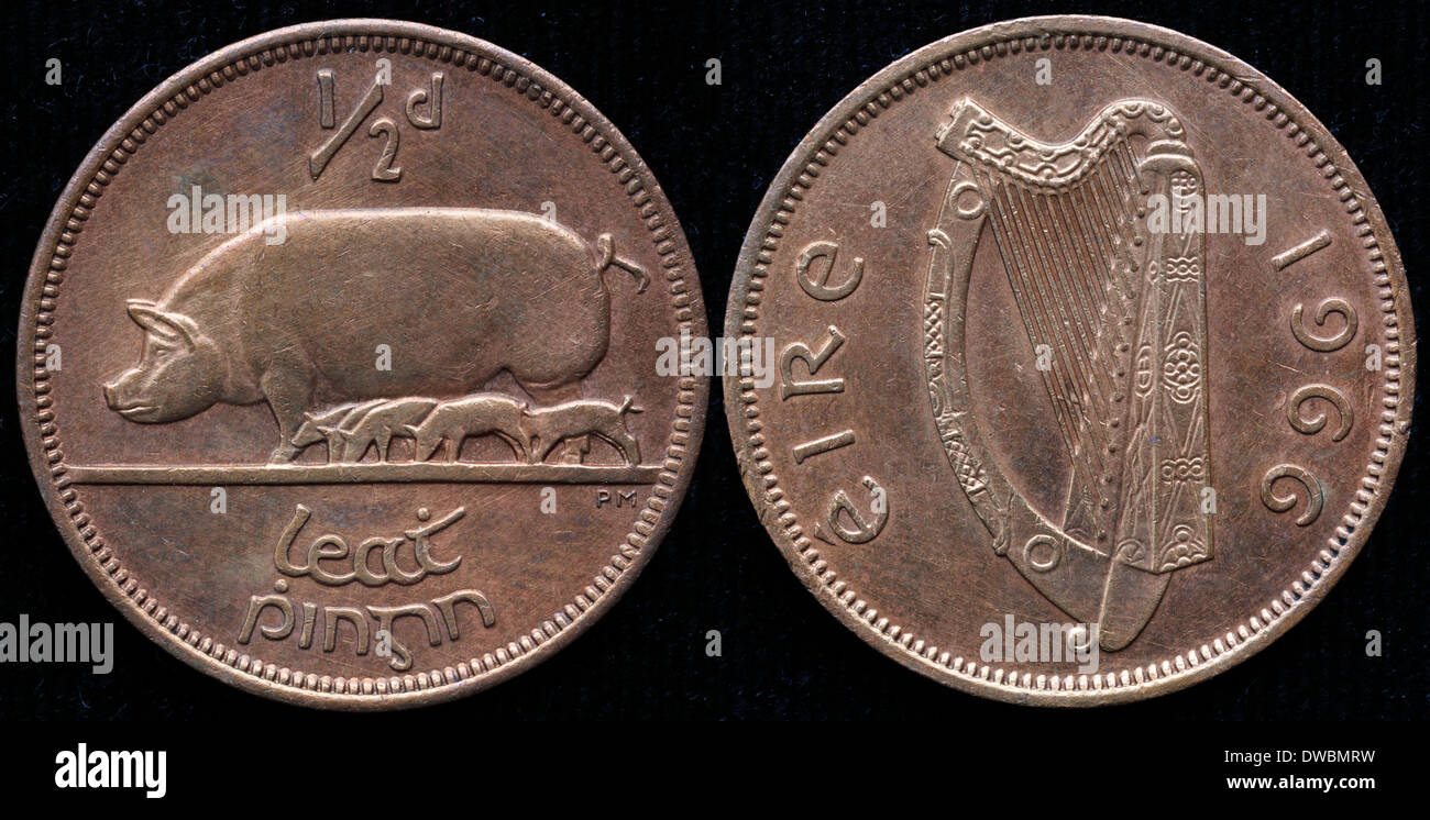 Mezzo penny coin, suino con suinetti, Irlanda, 1966 Foto Stock