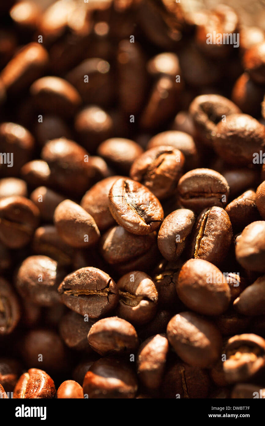 Close up di chicchi di caffè Foto Stock