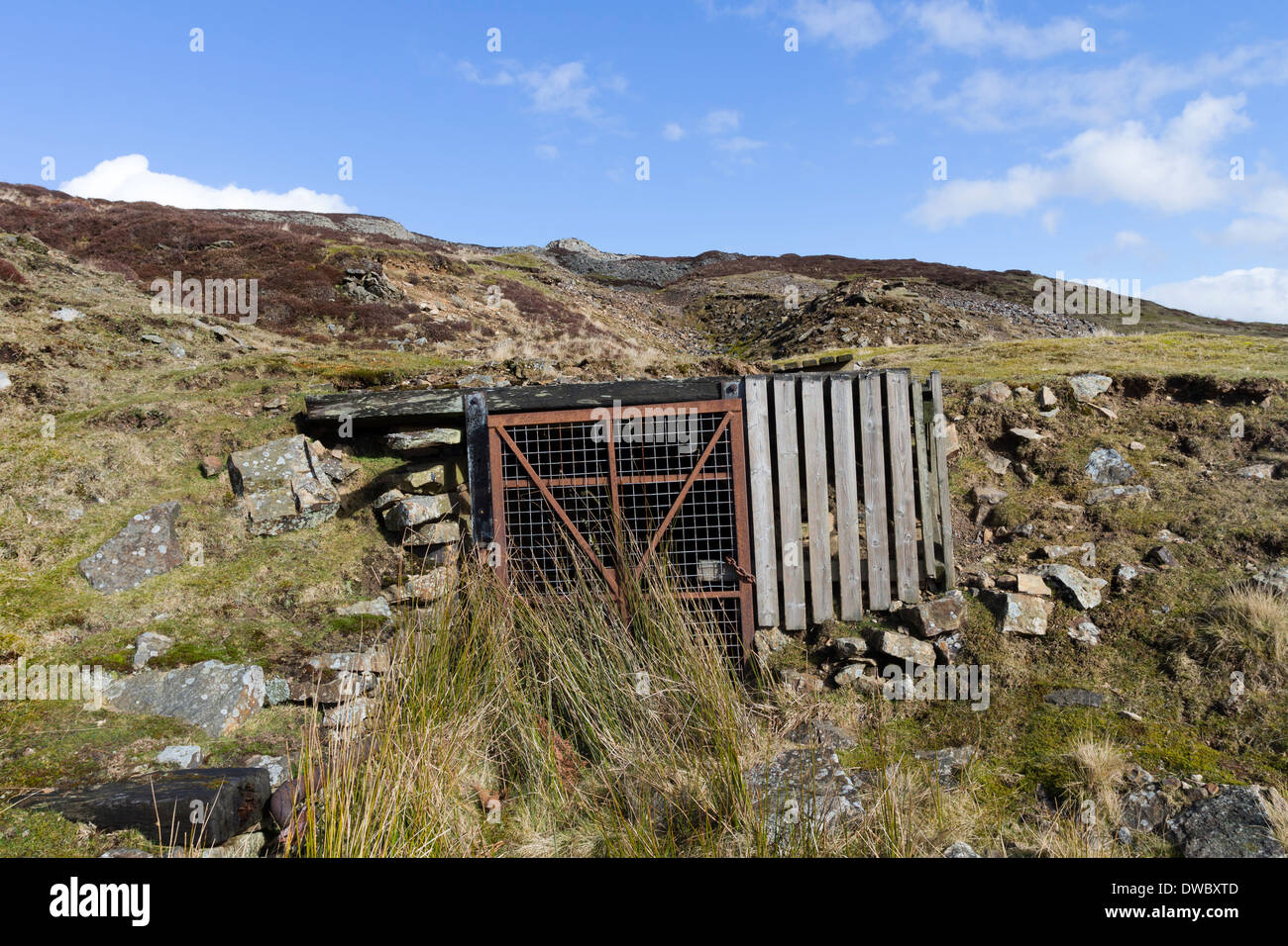 Abbandonata miniera di piombo Bollihope Weardale County Durham Regno Unito Foto Stock