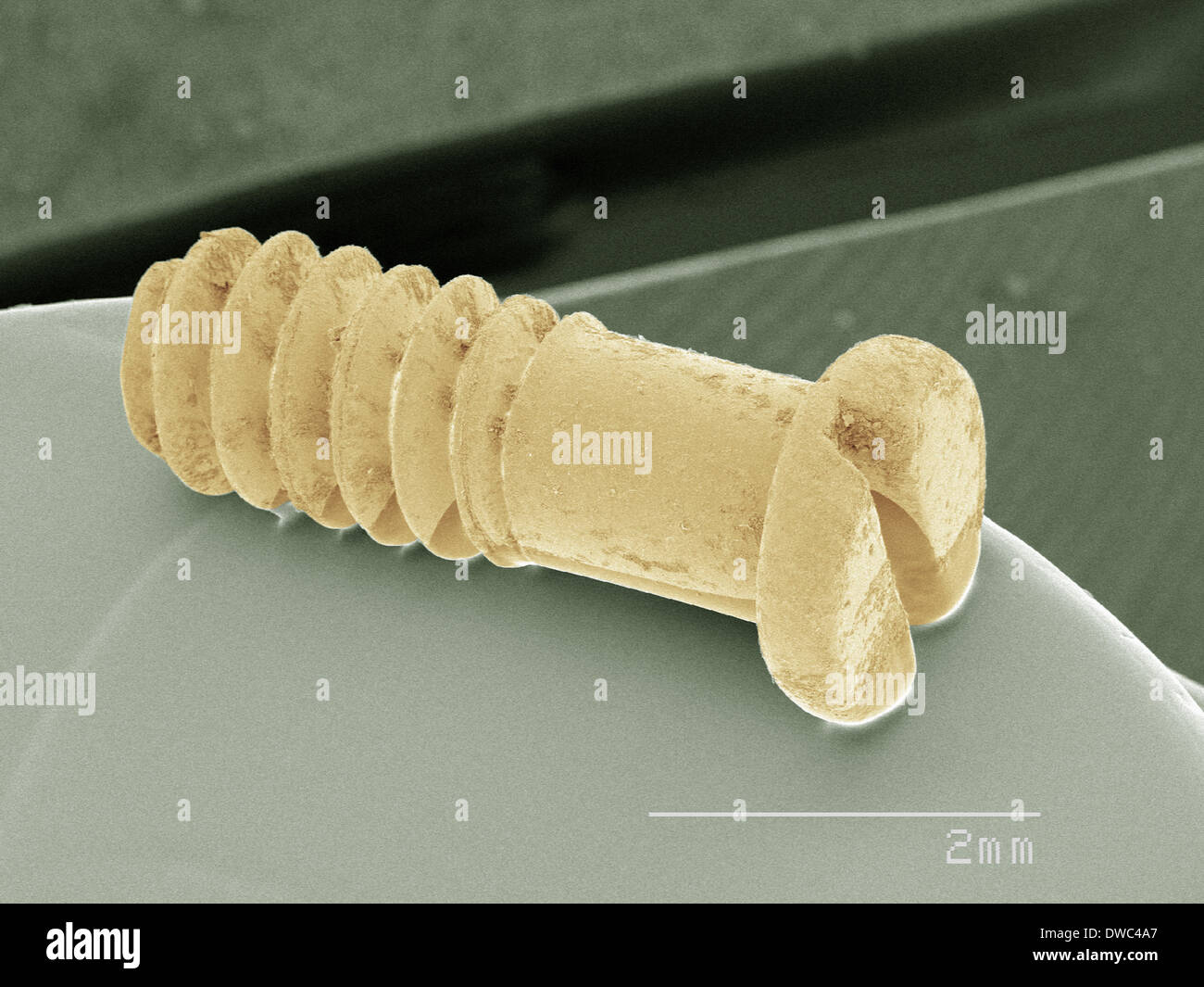 SEM colorati di vite per un paio di occhiali Foto Stock