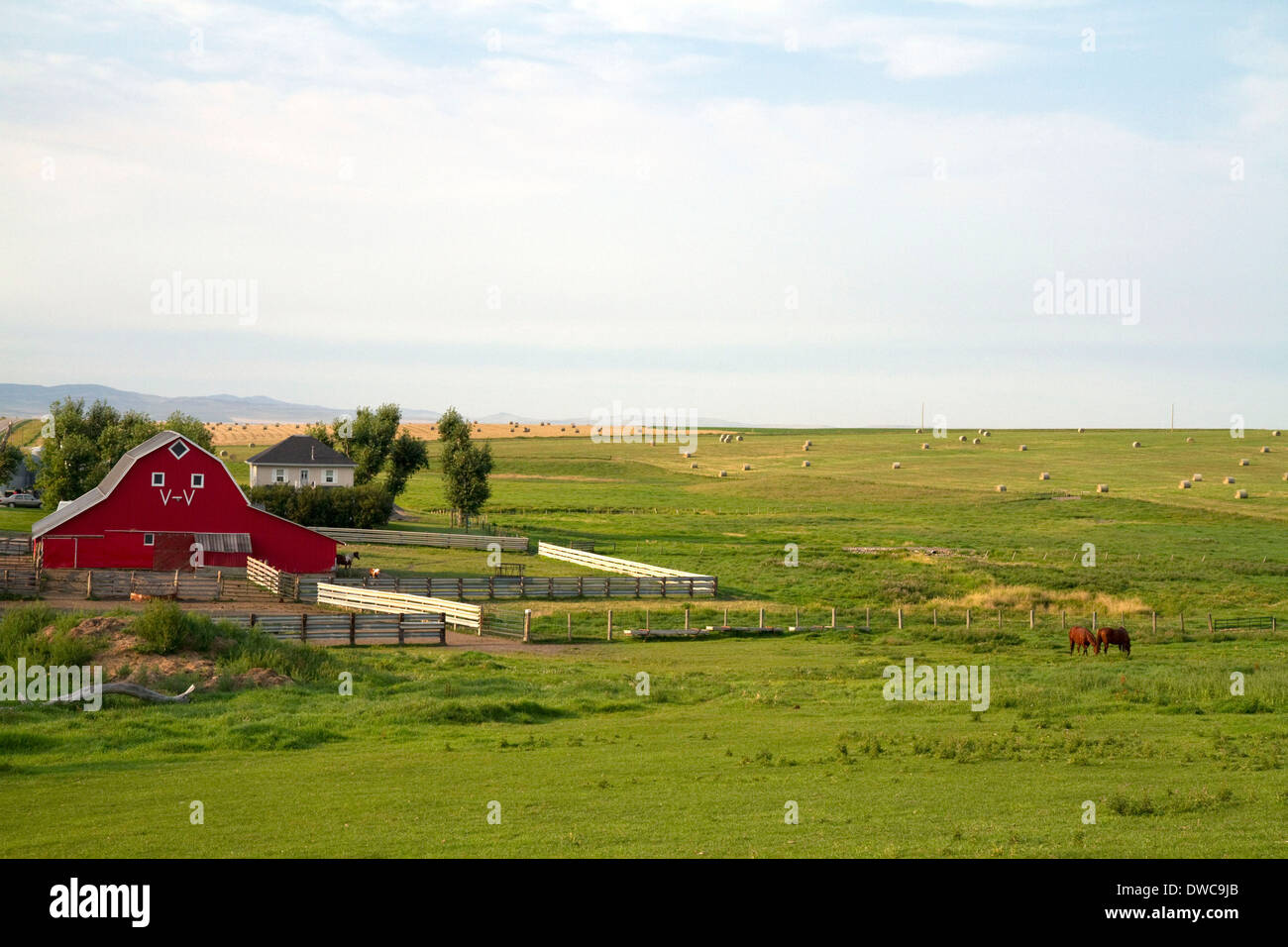 Granaio rosso e terreni agricoli a sud del torrente del rullo di estrazione, Alberta, Canada. Foto Stock
