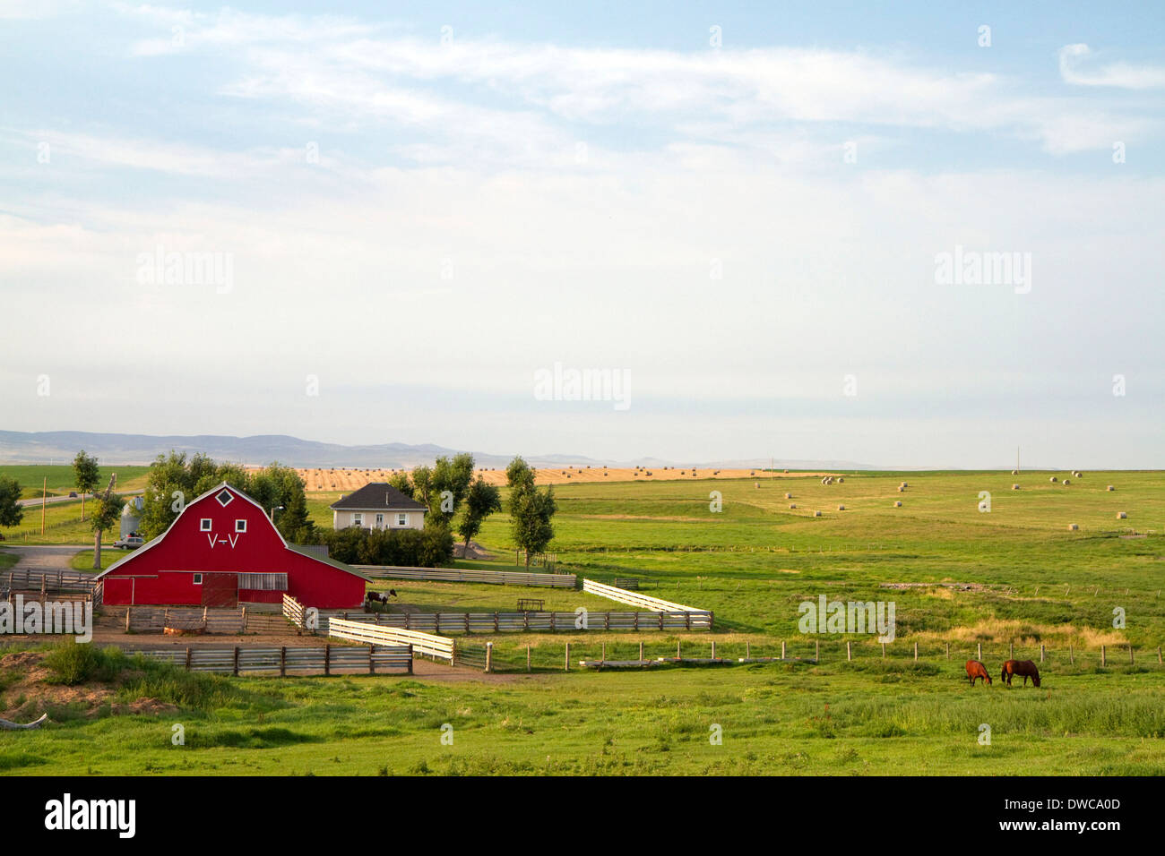 Granaio rosso e terreni agricoli a sud del torrente del rullo di estrazione, Alberta, Canada. Foto Stock
