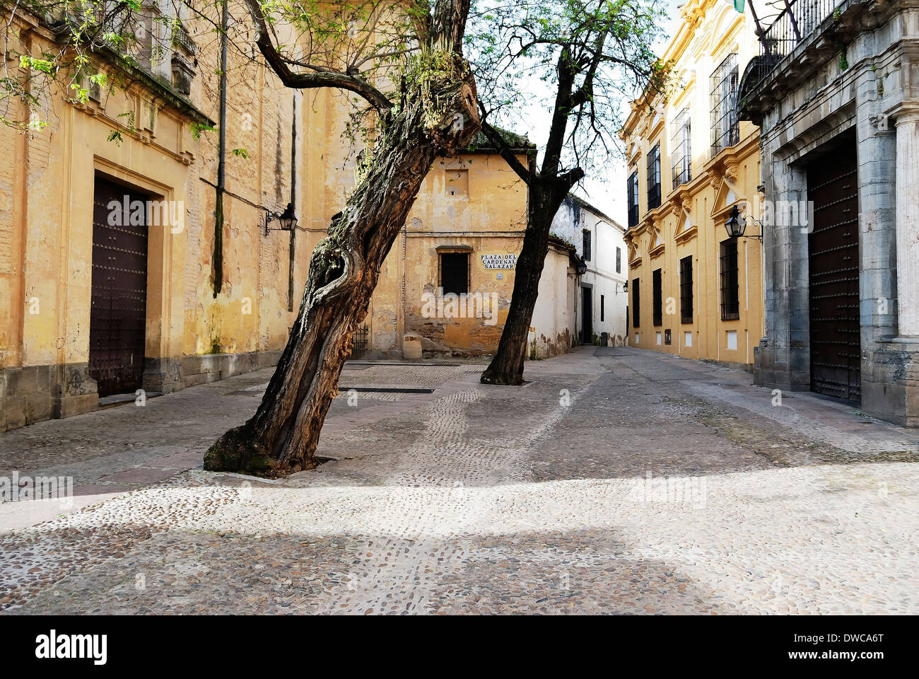 Piazza del Cardinale Salazar nel cuore del quartiere ebraico, Cordoba. Andalusia. Spagna. Foto Stock