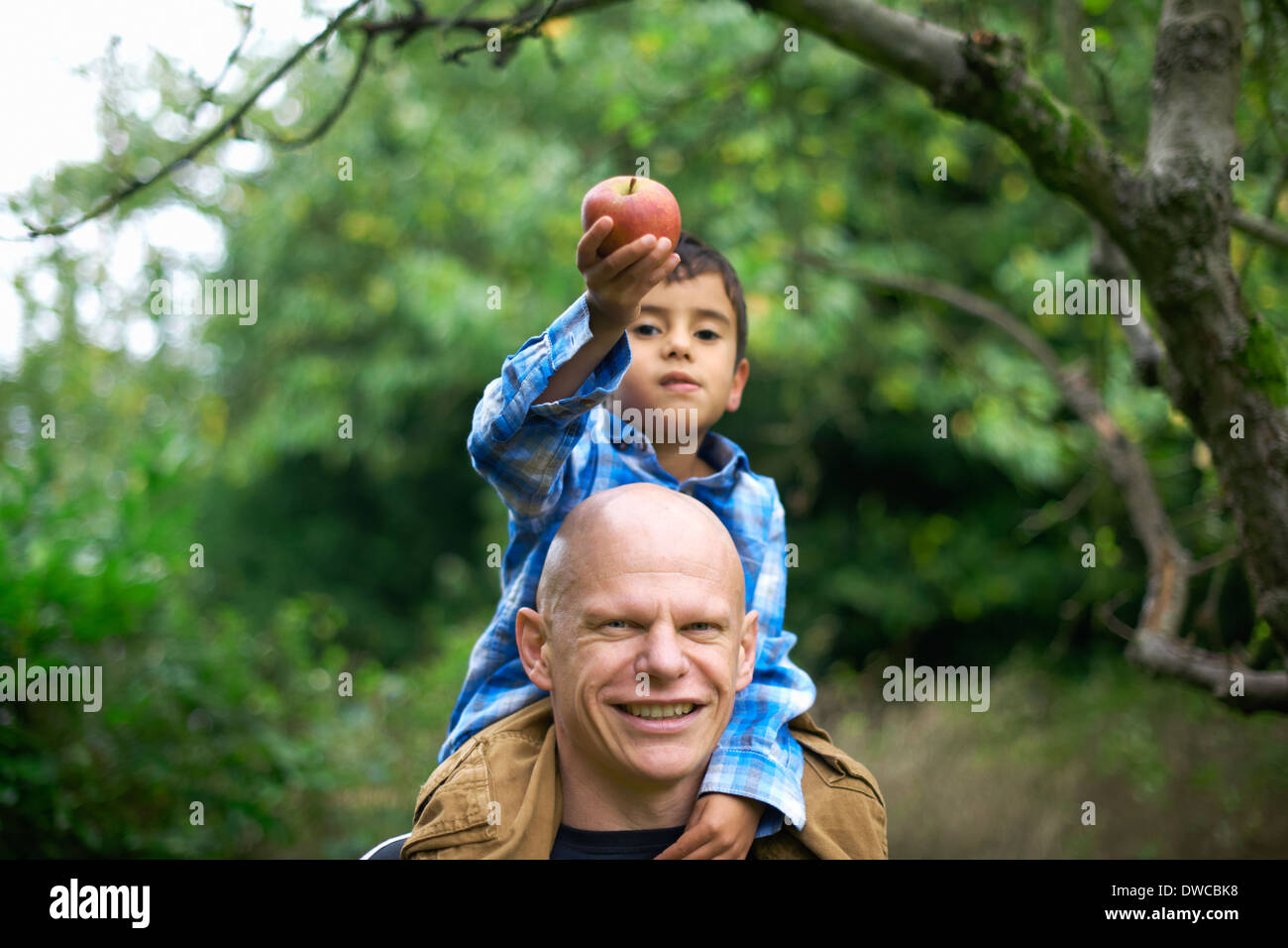 Bimbi maschio tenendo un apple e seduti sulle spalle dei padri Foto Stock