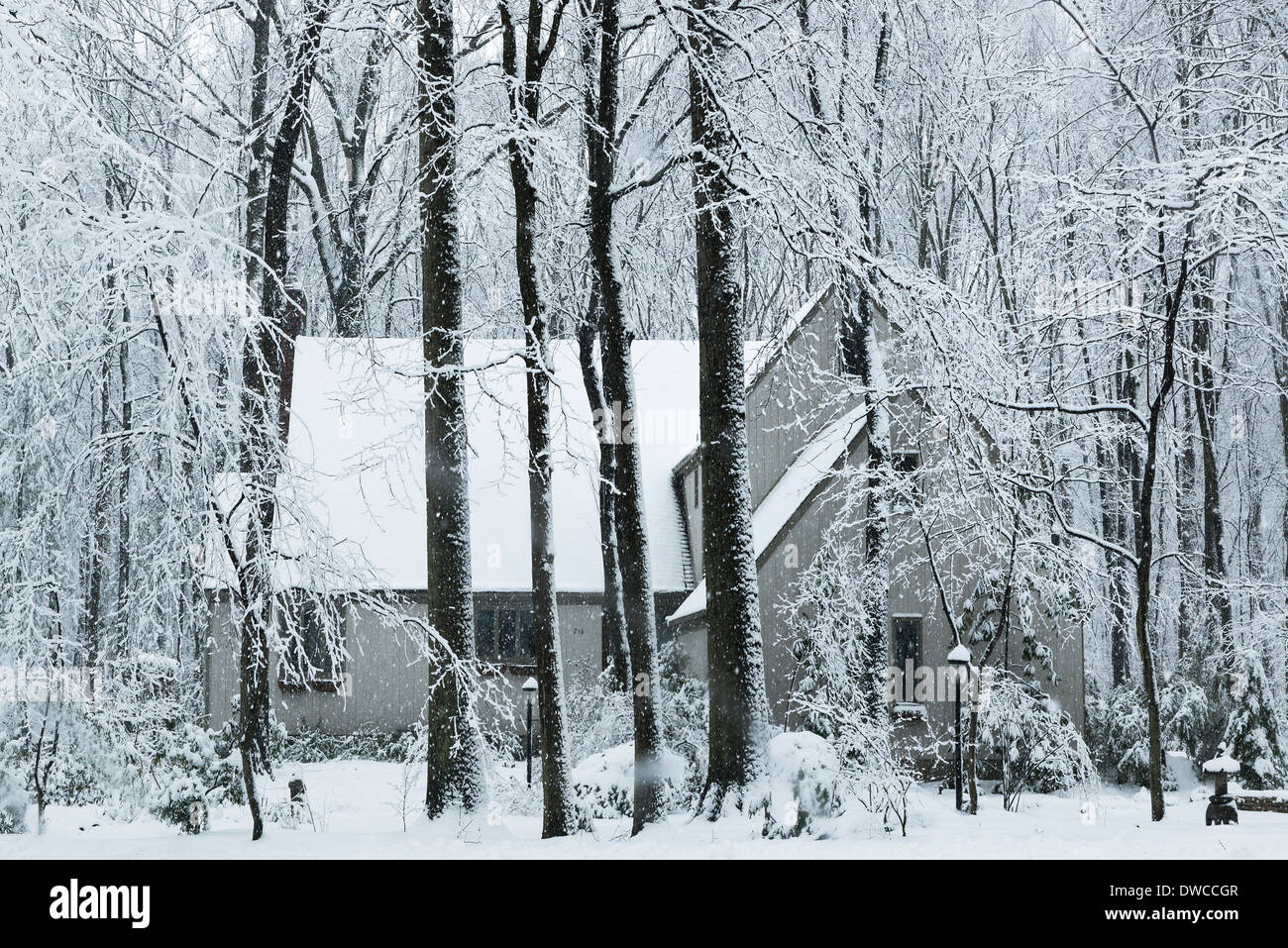La neve cade al di fuori di una casa rurale, New Jersey, STATI UNITI D'AMERICA Foto Stock