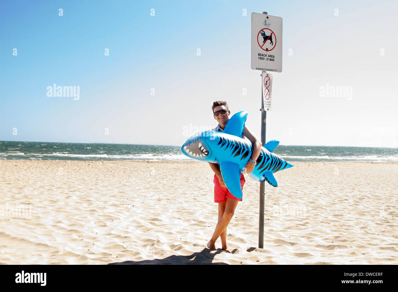 Giovane Azienda gonfiabile di squalo tigre, Port Melbourne, Melbourne, Australia Foto Stock