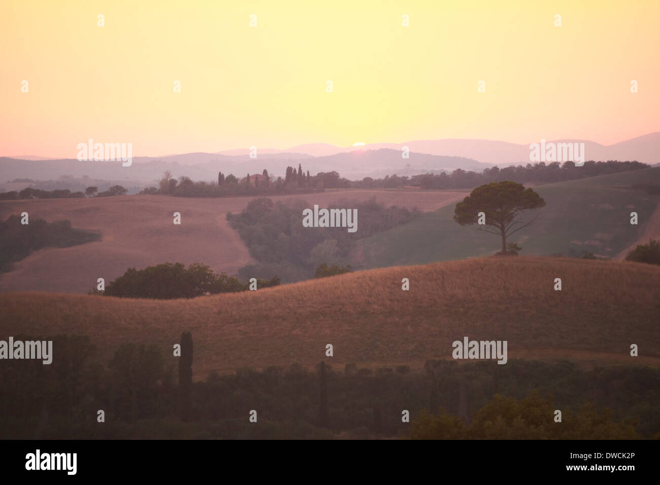 Paesaggio rurale al tramonto, Toscana, Italia Foto Stock