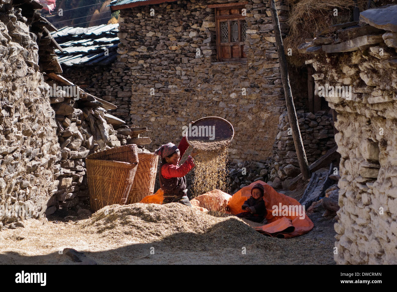 Donna tibetana setacciatura di grano nel villaggio di Lho, Nepal. Foto Stock