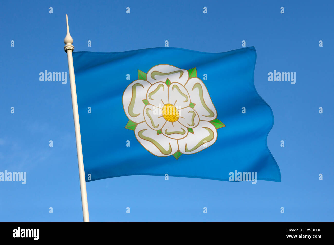 La bandiera utilizzata per rappresentare lo Yorkshire è una rosa bianca di York su uno sfondo blu Foto Stock