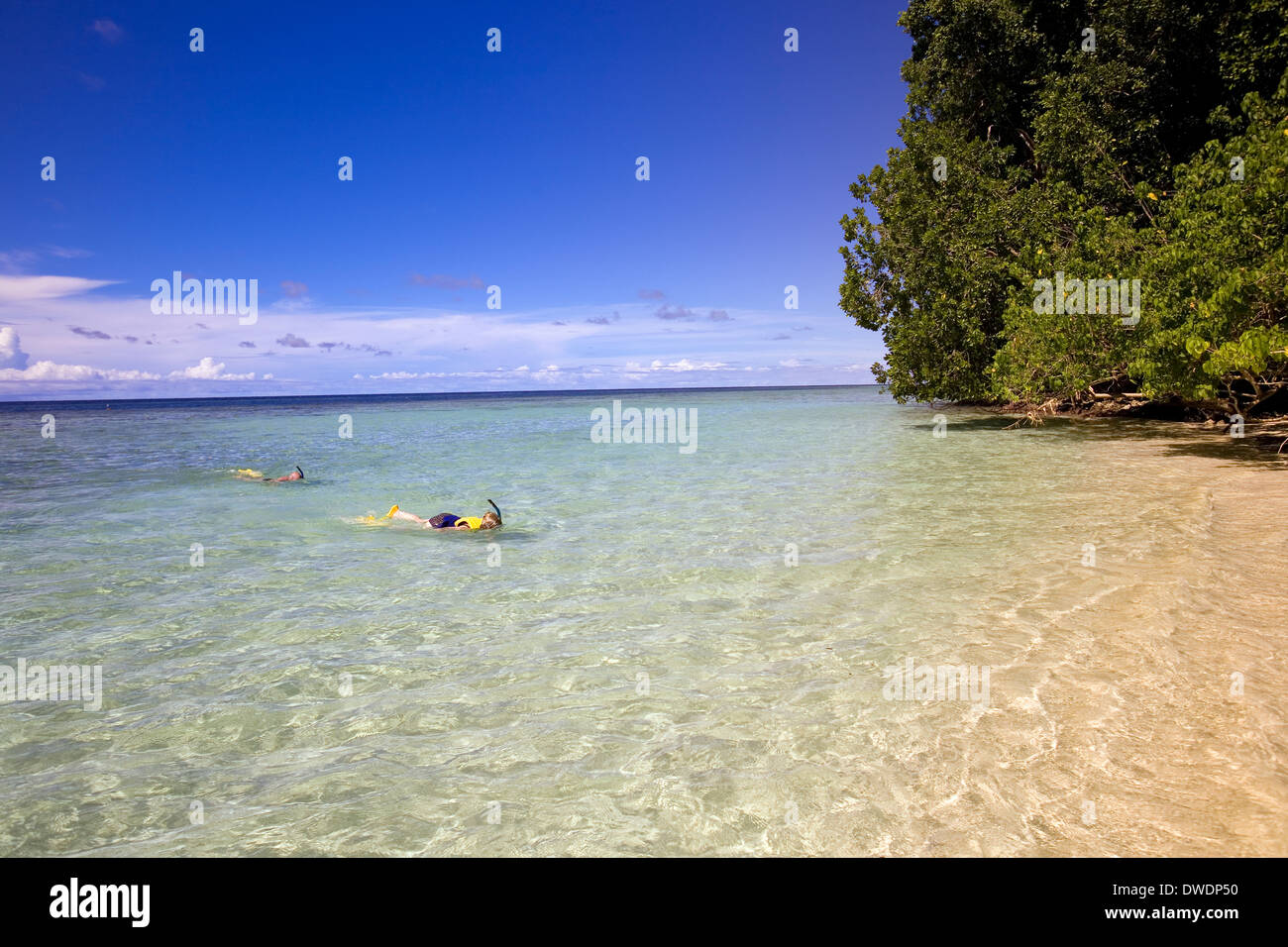 Snorkeling off Mateana Isola, Marovo Lagoon, Isole Salomone, Sud Pacifico Foto Stock