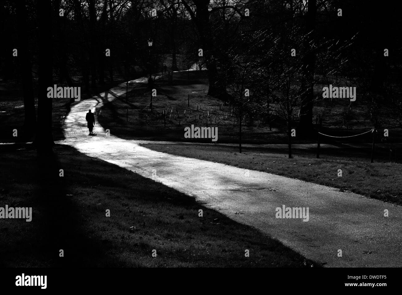 Percorso soleggiato in esecuzione attraverso il Green Park, London, Regno Unito Foto Stock