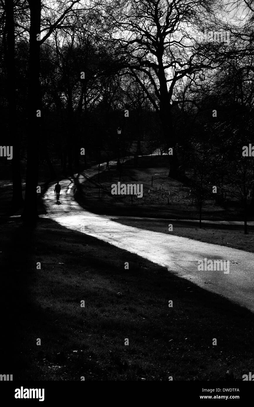 Percorso soleggiato in esecuzione attraverso il Green Park, London, Regno Unito Foto Stock