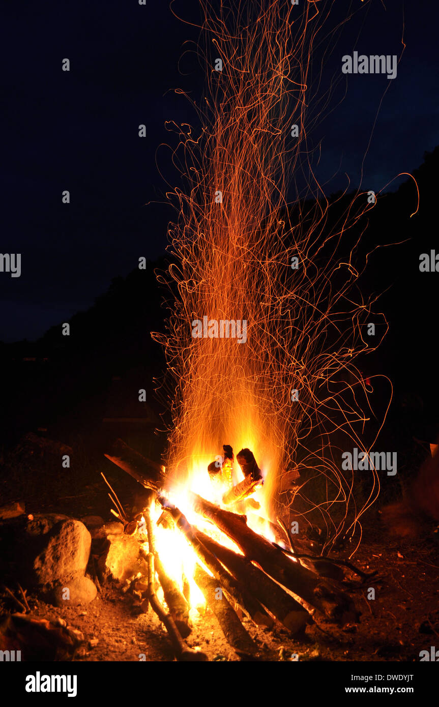 Campfire, falò nella foresta Foto Stock