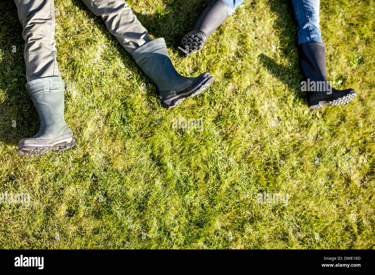 Sezione bassa del giovane sdraiati sull'erba Foto Stock