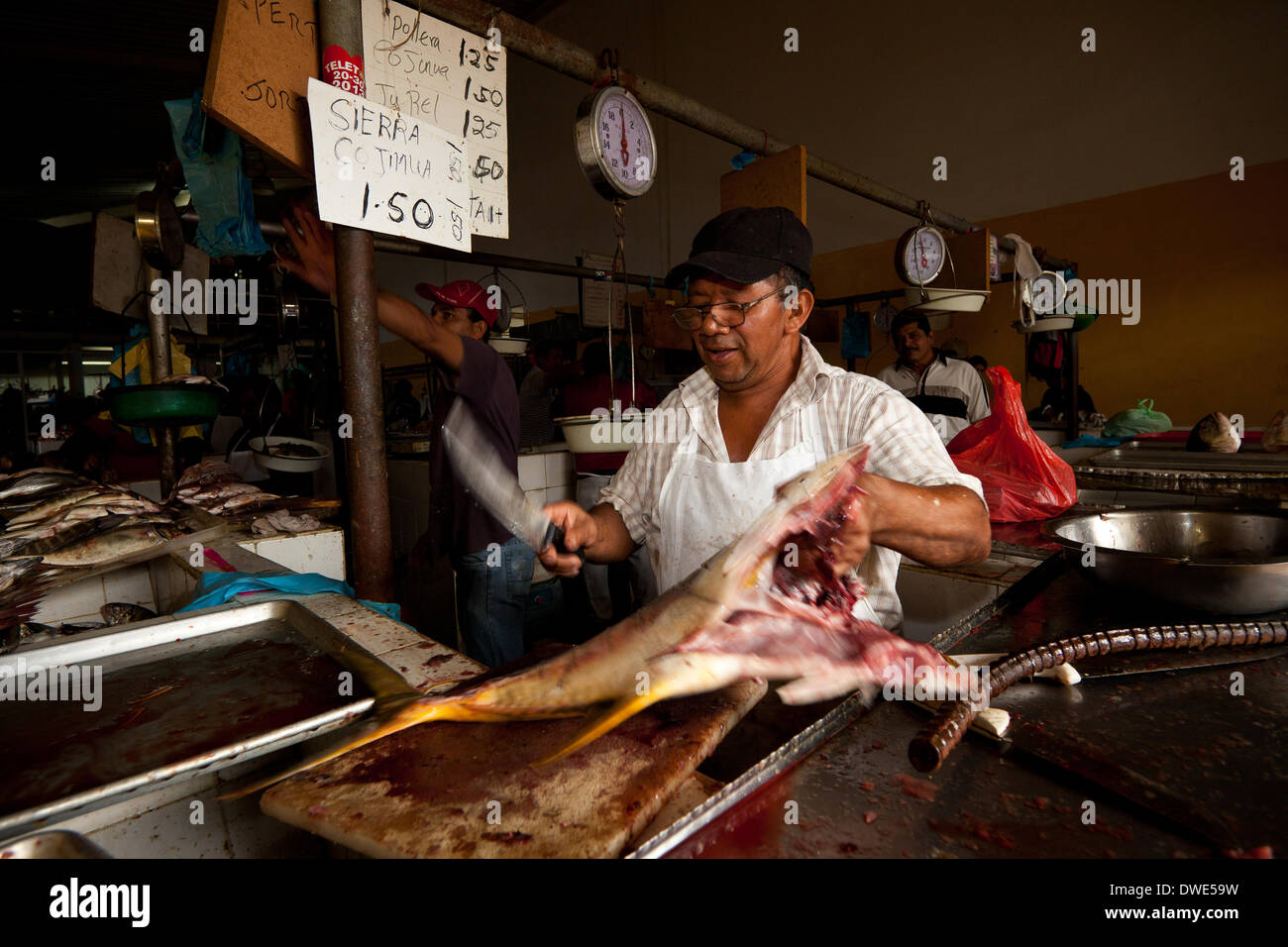 Penonome, provincia di Cocle, Repubblica di Panama. 6th marzo 2014. Senor Mendoza, 60, prepara un pesce in vendita al mercato nella città di Penonome, provincia Cocle, Repubblica di Panama, America Centrale. Il pesce viene catturato nell'oceano Pacifico. Foto Stock