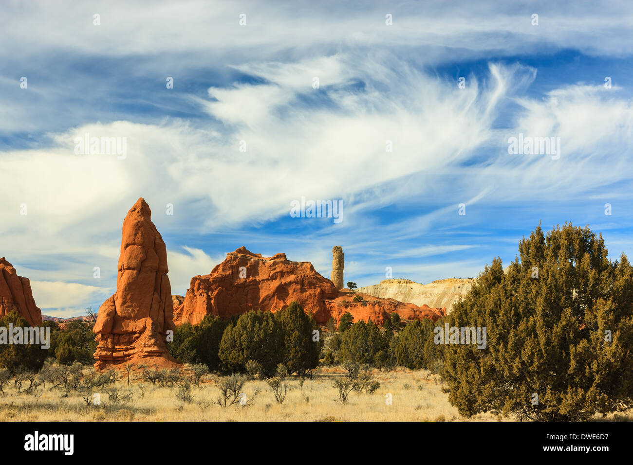 Kodachrome Basin Parco dello stato nei pressi di Cannonville, Utah - USA Foto Stock