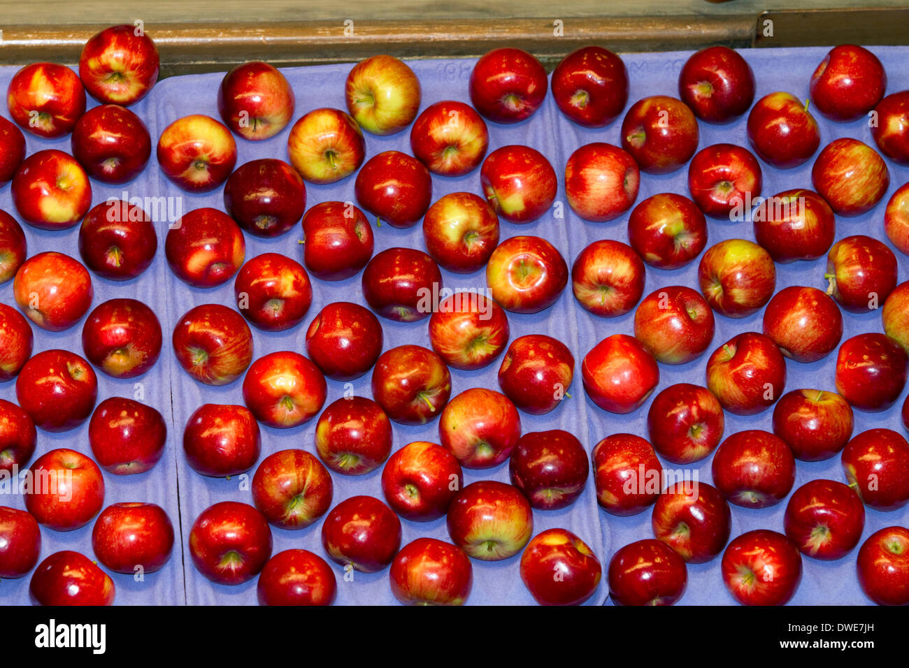 Ordinate le mele confezionate alla frutta Symms Ranch vicino pendio soleggiato, Idaho, Stati Uniti d'America. Foto Stock