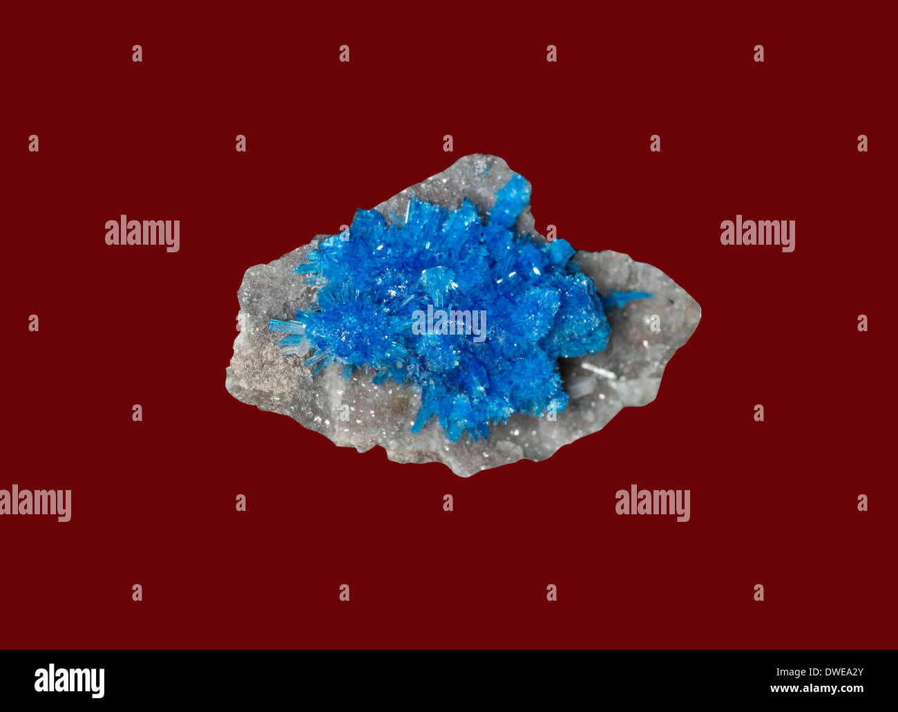 Cavansite minerale da brasile calcio silicato di vanadio, è di un blu profondo di calcio idrato fillosilicato di vanadio minerale, Foto Stock