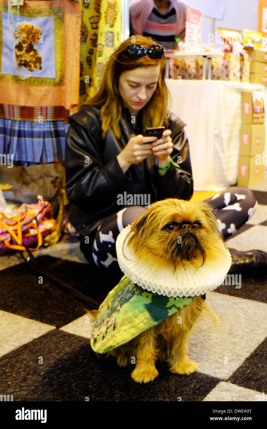 Birmingham, Regno Unito. Il 6 marzo 2014. Il Crufts 2014 dog show in NEC National Exhibition Centre Birmingham REGNO UNITO Inghilterra giorno uno dei premier dog show e la concorrenza cane con collo vittoriano collare arruffare a. Credito: Paul Thompson Live News /Alamy Live News Foto Stock