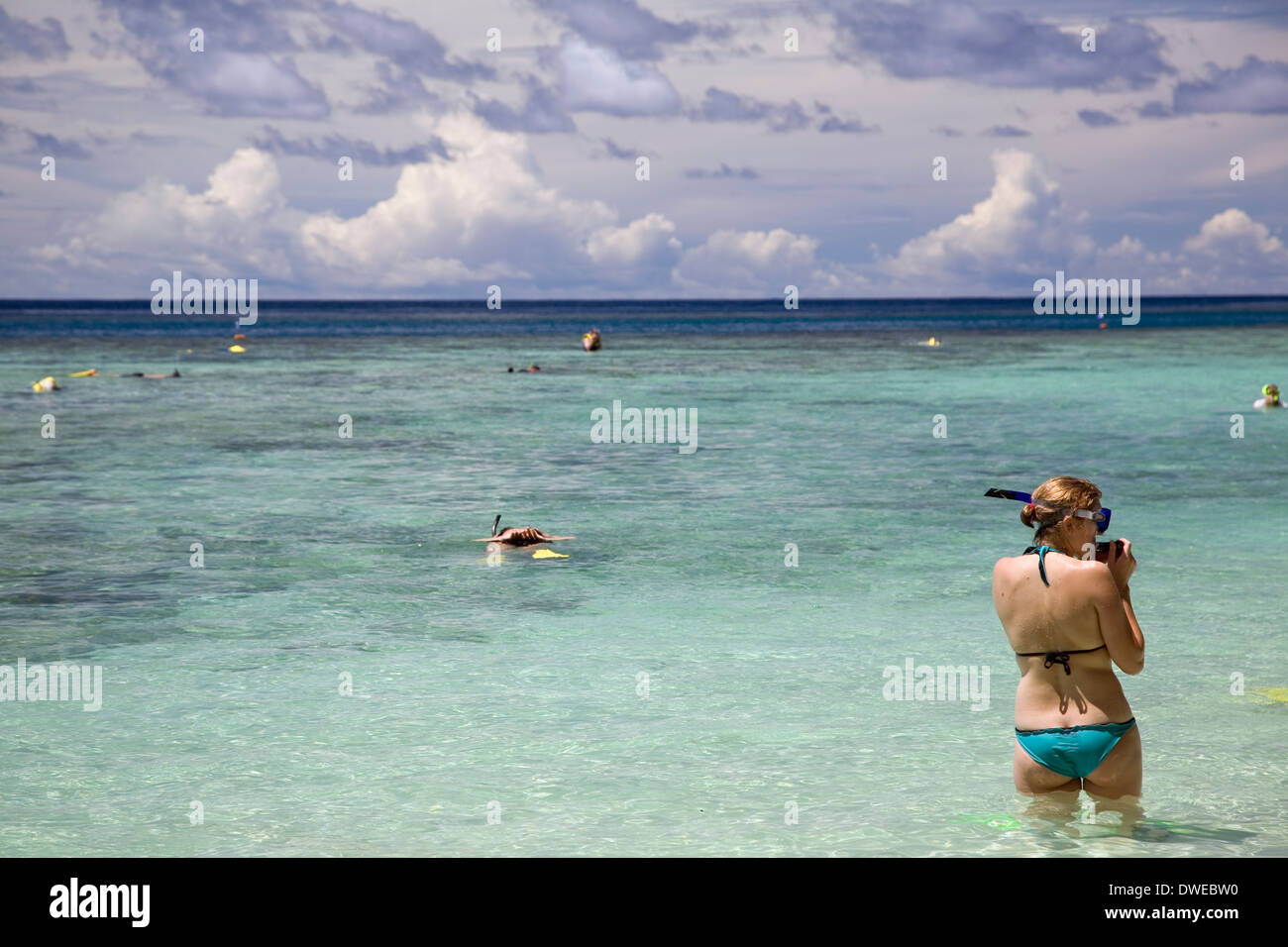 Lo snorkeling in Marovo Lagoon, Mateana Isola, Isole Salomone, Sud Pacifico Foto Stock