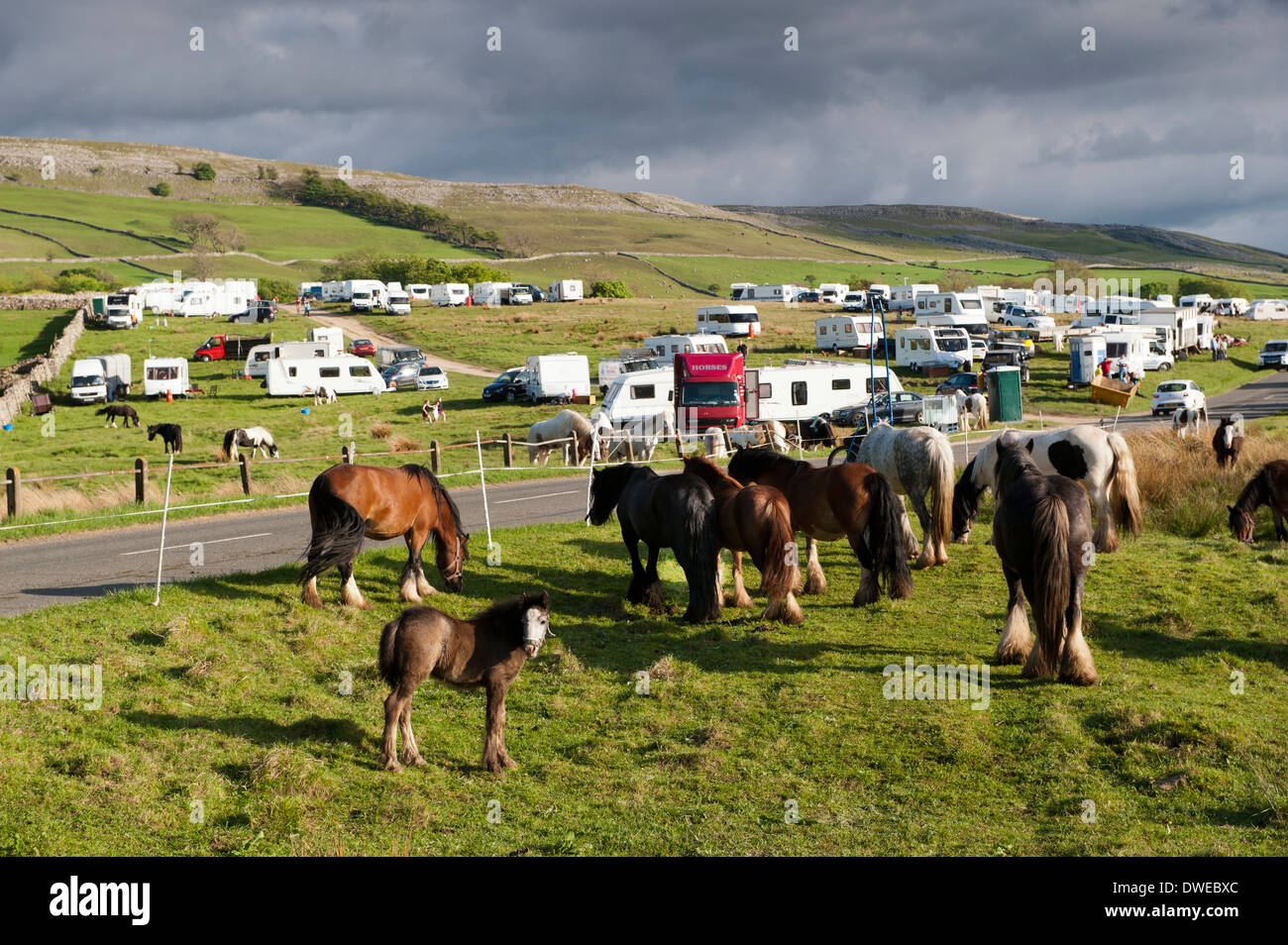 Accampamento di zingari a Cote Moor, Ravenstonedale, sul modo di Appleby horse fair in Cumbria Foto Stock