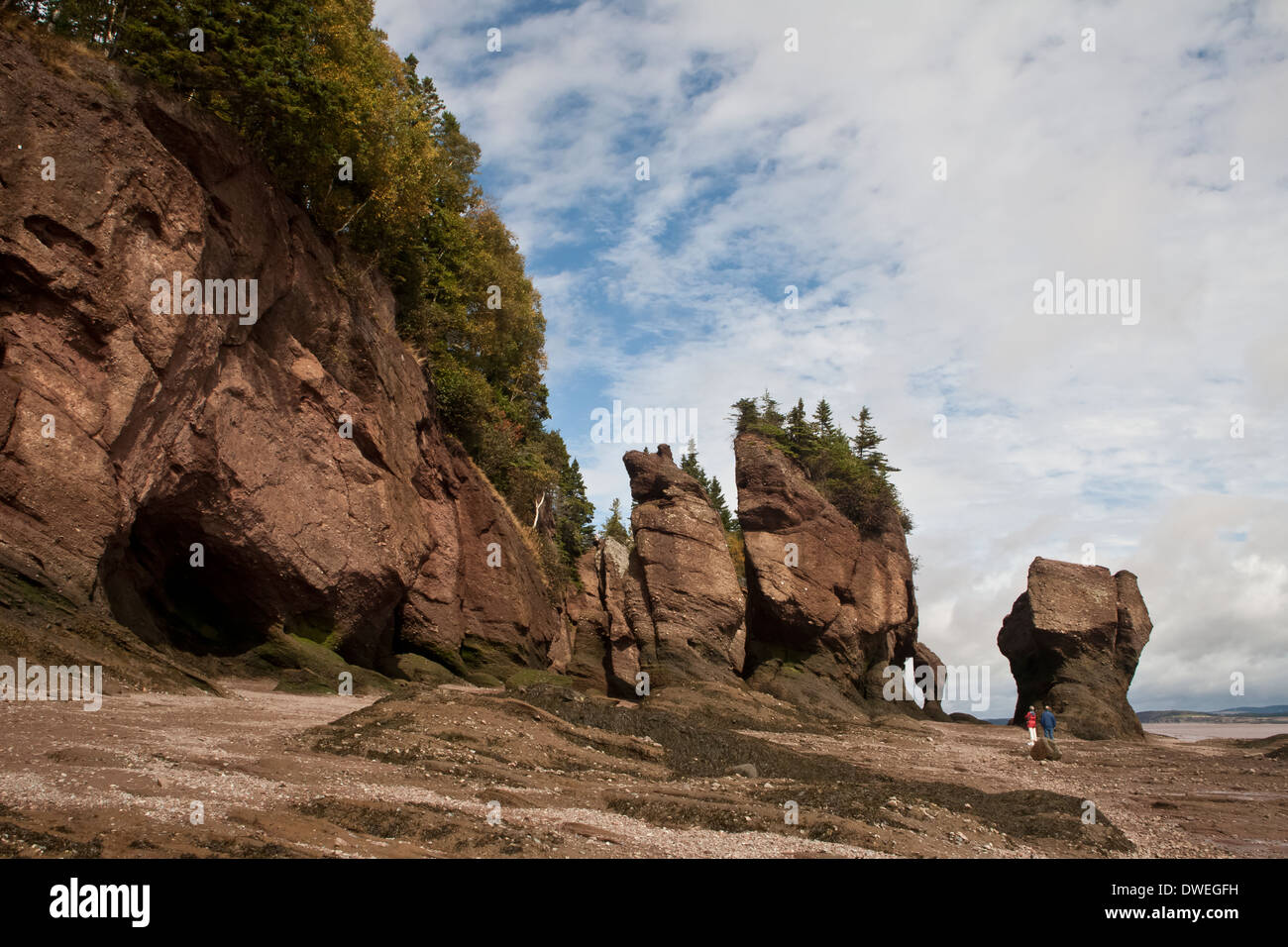 Hopewell Rocks, Hopewell Cape, Baia di Fundy. New Brunswick, Canada Foto Stock