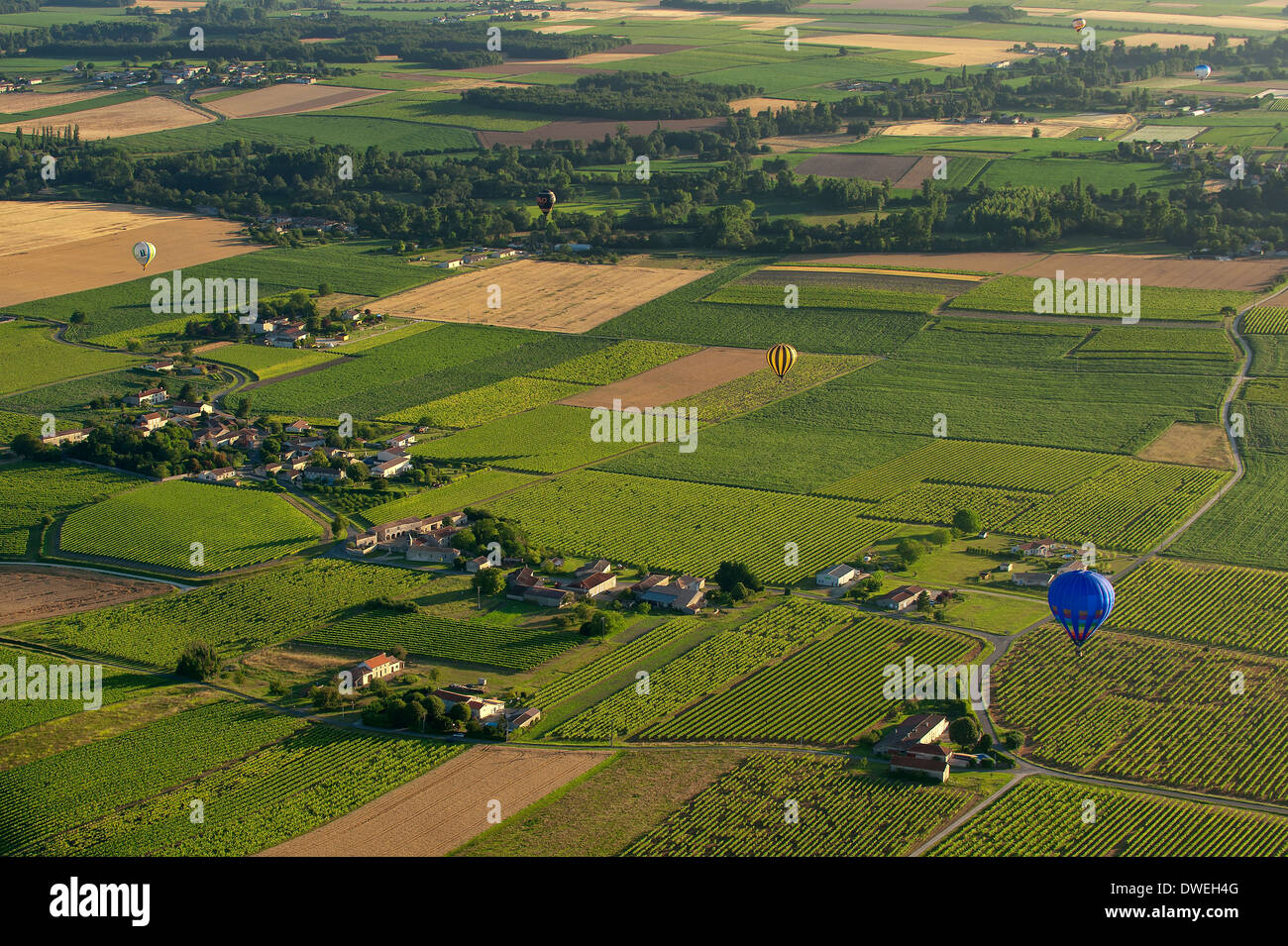 Palloncini alla deriva nel cielo sopra una collina, Charente-Maritime, Francia Foto Stock