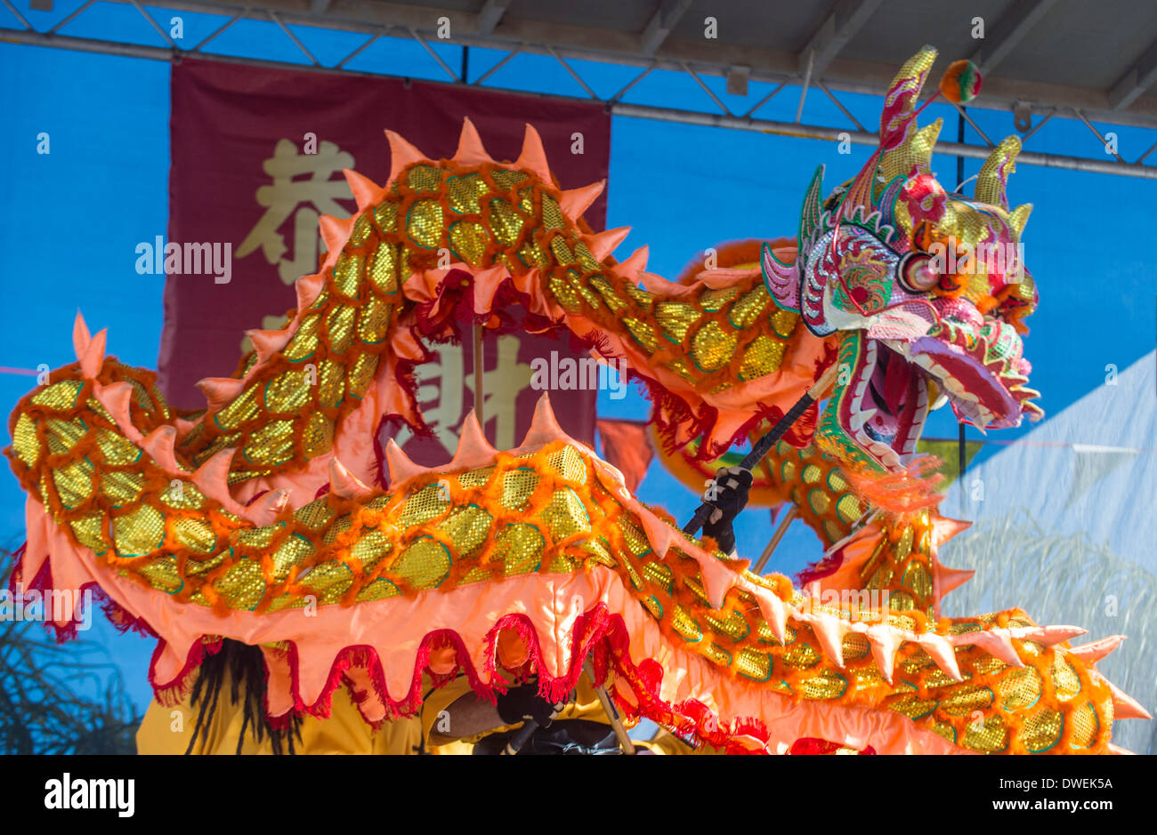 Dragon Dance artisti durante il Capodanno cinese che si terrà a Las Vegas, Nevada Foto Stock